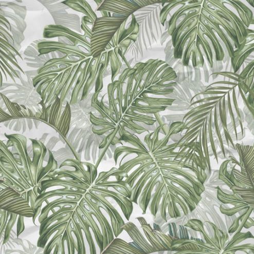 выбрать Фотообои тропические листья  на стену