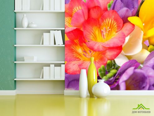 выбрать Фотошпалери Закруглені тюльпани Фотошпалери Фотошпалери Квіти: різнобарвний на стіну