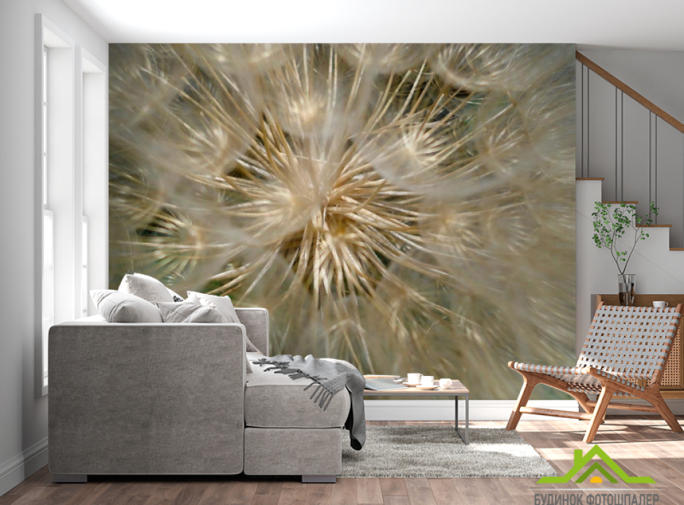 выбрать Фотообои Макро-одуванчик Каталог фотообоев на стену