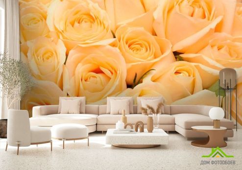 выбрать Фотошпалери Букет з кремових троянд Фотошпалери, колір: «бежевий, квадратна, горизонтальна» на стіну