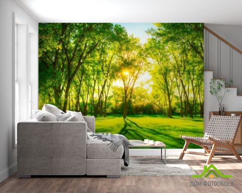 выбрать Фотообои Зеленые деревья Фотообои, цвет: «горизонталная, горизонтальная» на стену
