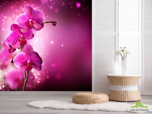 выбрать Фотообои Малиновые орхидеи веткой Фотообои Фотообои Орхидеи: фото, квадратная  на стену