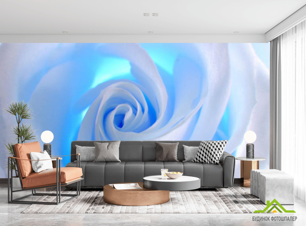 выбрать Фотошпалери троянда Каталог фотошпалер на стіну