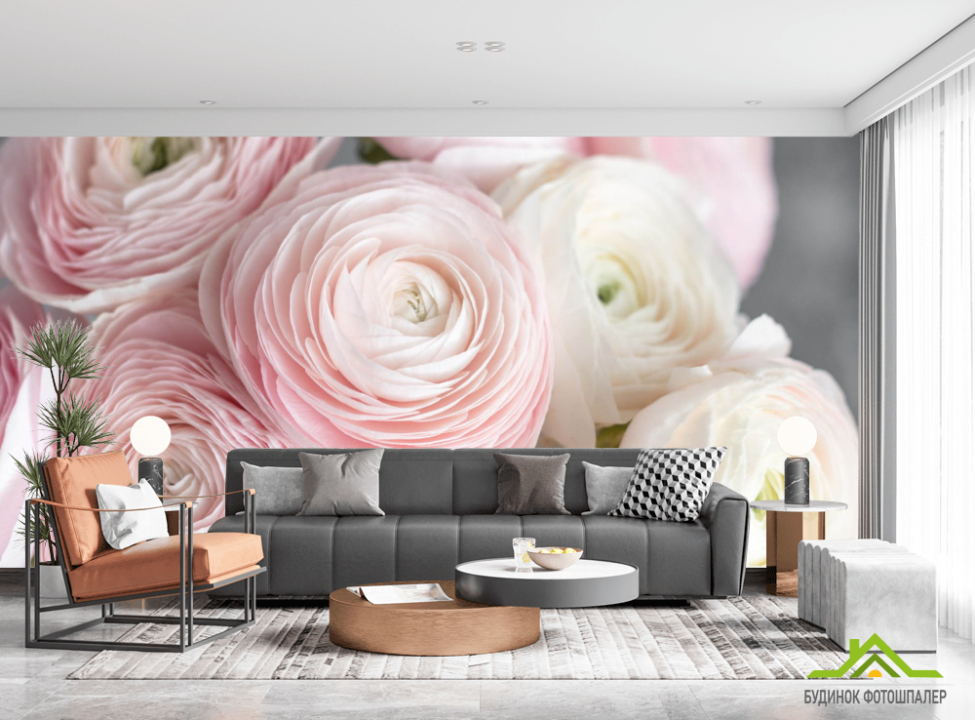 выбрать Фотообои Розовые рунункюлусы Каталог фотообоев на стену