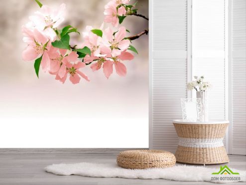 выбрать Фотошпалери Ніжно-рожеві квітки Фотошпалери Квіти на стіну