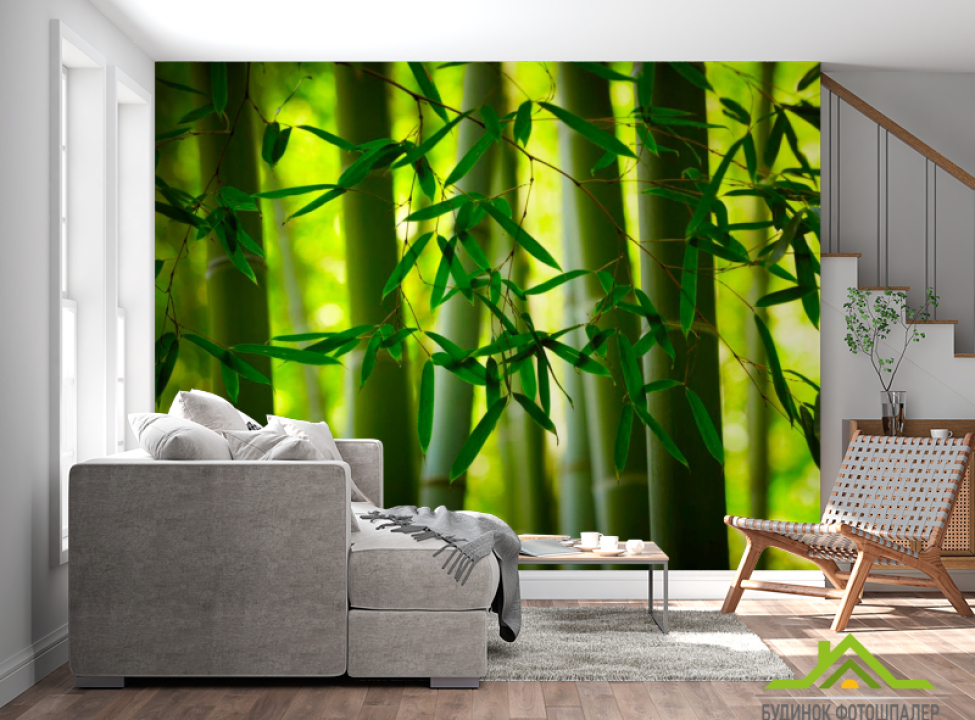 выбрать Фотошпалери Бамбук та листочки Фотошпалери ліс на стіну