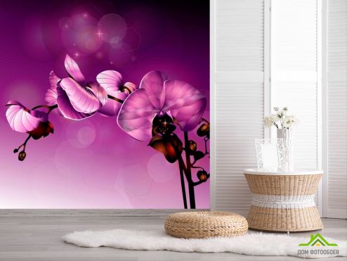 выбрать Фотообои Орхидеи фиолетовые  на стену