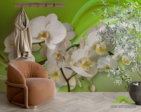 выбрать Фотошпалери 3д орхідеї Фотошпалери Фотошпалери Квіти: квадратна, горизонтальна, зелений, зелений орієнтація на стіну