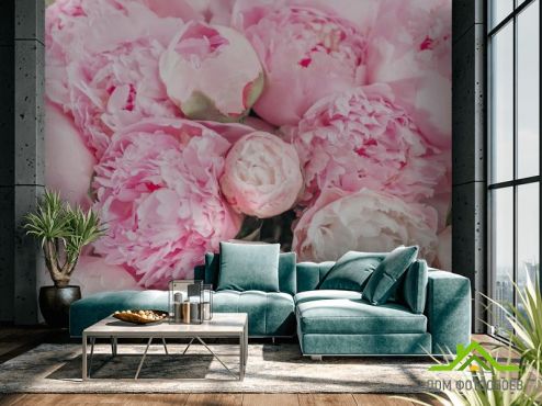 выбрать Фотообои Розовые пионы Фотообои Цветы на стену