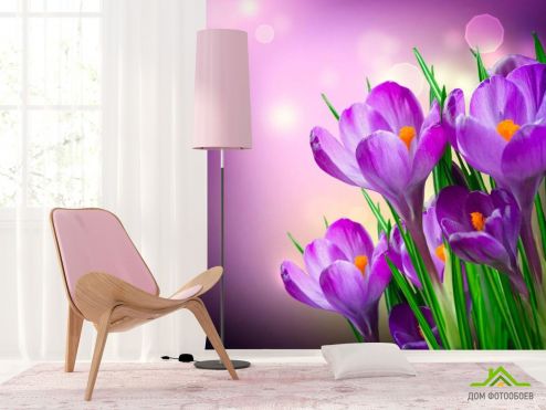 выбрать Фотообои Подснежники крупный план Фиолетовые фотообои на стену