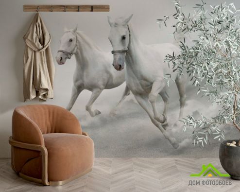 выбрать Фотообои Две белых лошади Фотообои Лошади на стену