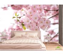 Фотообои Цветы розовой сакуры