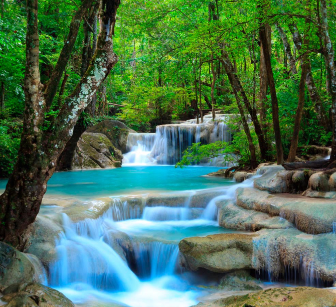 Фотообои Водная сказка