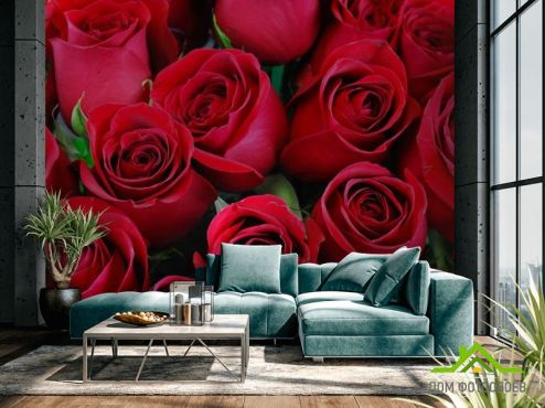 выбрать Фотообои красные розы Фотообои Цветы на стену