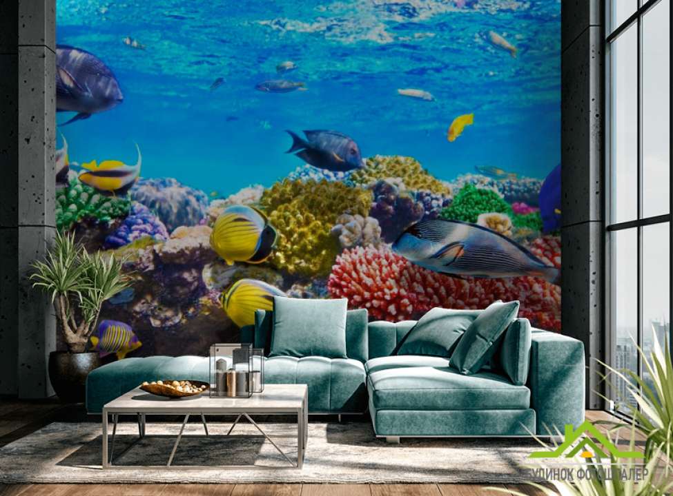 выбрать Фотообои Рыбы Фотообои Море на стену