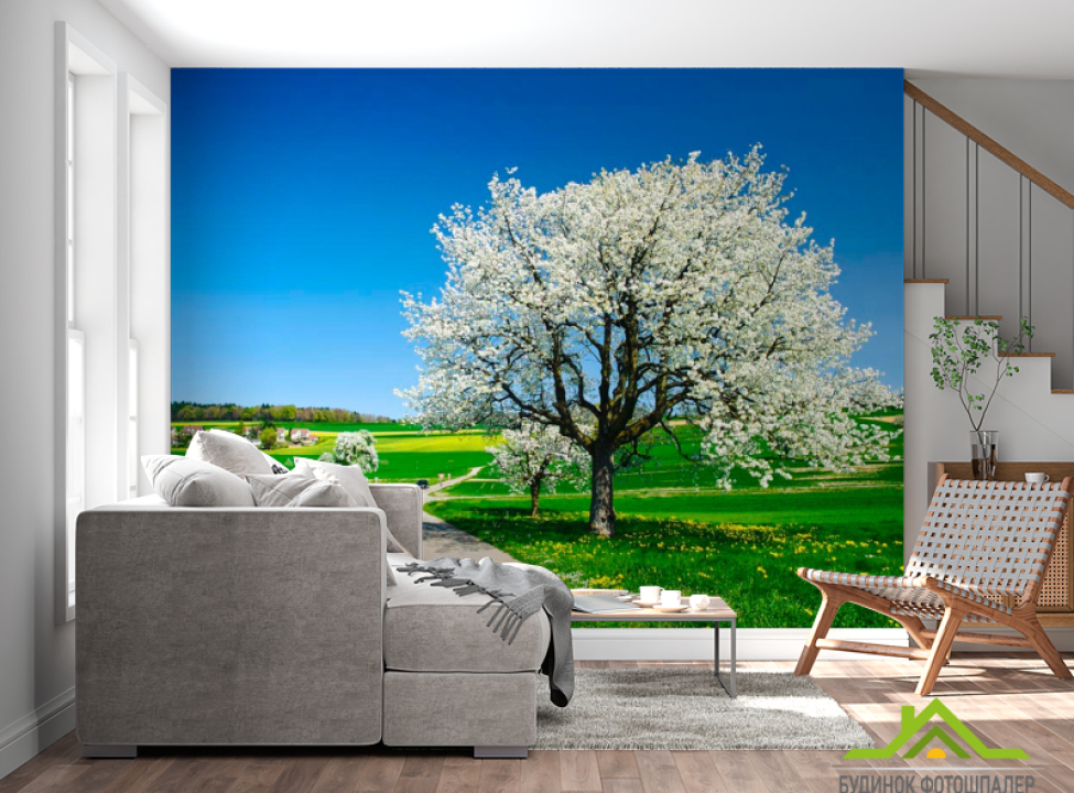 выбрать Фотообои Весна, цвет Фотообои Природа на стену