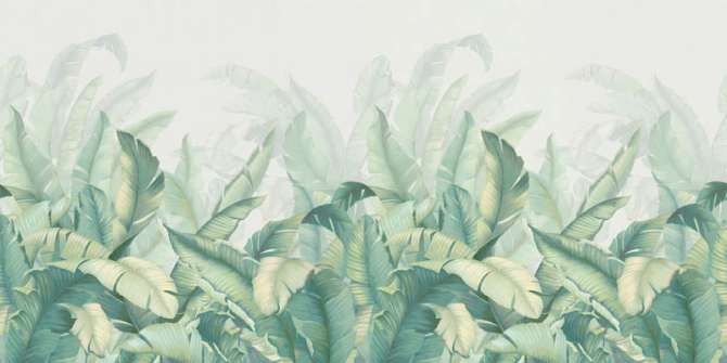 Фотошпалери бананове листя