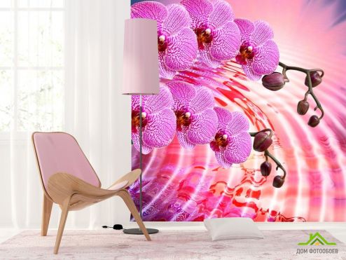 выбрать Фотошпалери Бузкові квітучі орхідеї Фотошпалери Орхідеї на стіну