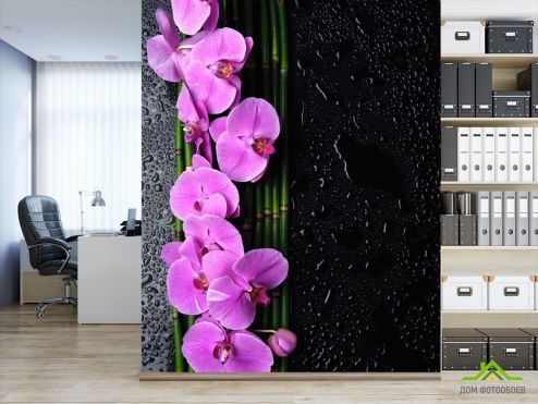 выбрать Фотошпалери Орхідеї рожеві, бамбук Фотошпалери Фотошпалери Квіти: чорний на стіну