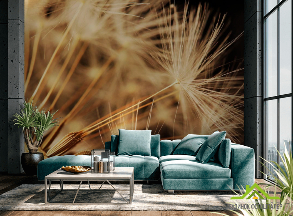 выбрать Фотошпалери Макро кульбаби Каталог фотошпалер на стіну