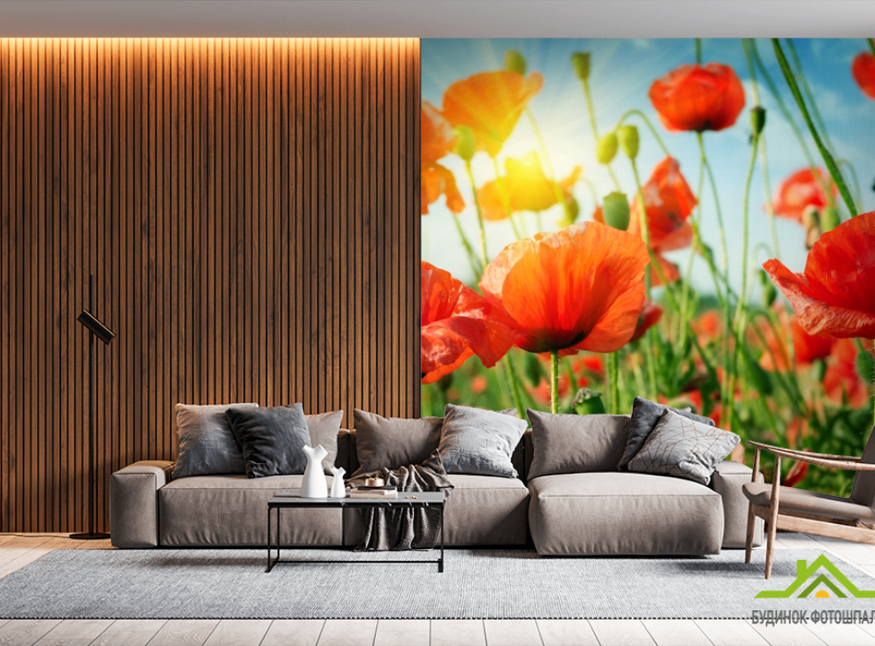 выбрать Фотообои маки под солнцем Каталог фотообоев на стену