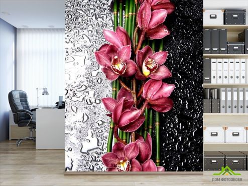 выбрать Фотообои Бордовые орхидеи Фотообои Фотообои Цветы: вертикальная на стену