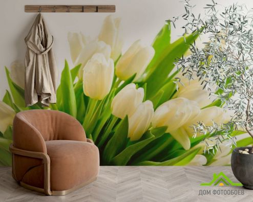 выбрать Фотообои Тюльпаны Фотообои Фотообои Цветы: картинка, горизонталная, горизонтальная  на стену