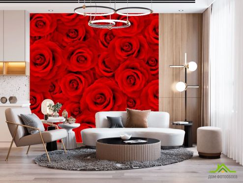 выбрать Фотообои Букет роз алых Фотообои Фотообои Цветы: красный на стену