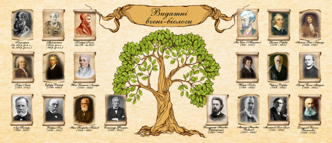 Фотообои Учёные биологи