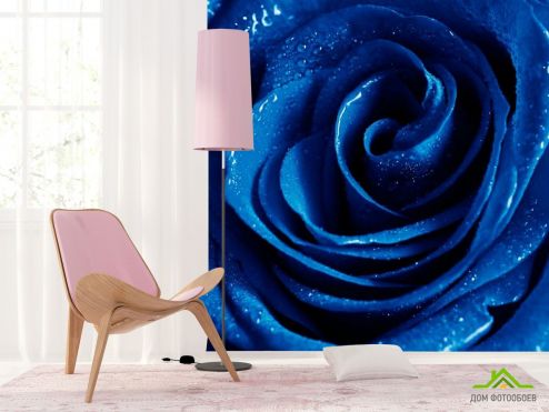 выбрать Фотообои Синяя роза Фотообои Фотообои Цветы: фото, синий  на стену
