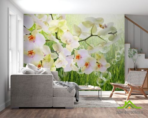 выбрать Фотообои белая орхидея на фоне травы Фотообои Фотообои Цветы: горизонталная, горизонтальная ориентация на стену