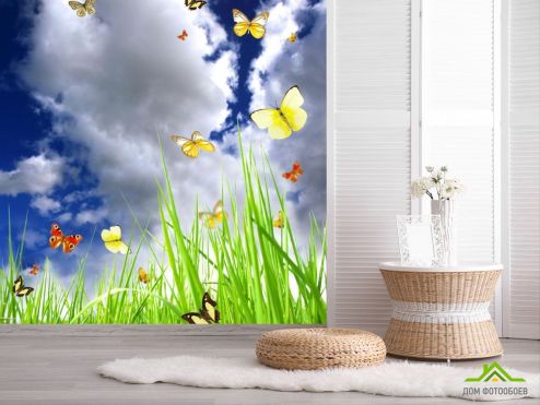 выбрать Фотообои Трава и бабочки Фотообои разные на стену