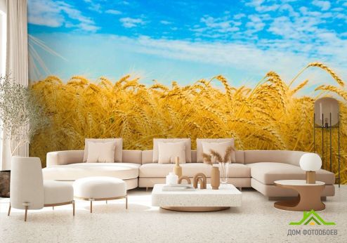 выбрать Фотообои Пшеница Фотообои Фотообои Природа: горизонталная, горизонтальная, Лето ориентация на стену