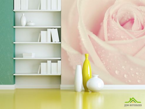выбрать Фотообои Капли росы на розе Фотообои Фотообои Цветы: бежевый на стену
