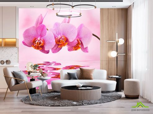 выбрать Фотообои Орхидеи розовые Фотообои Фотообои Орхидеи: квадратная ориентация на стену