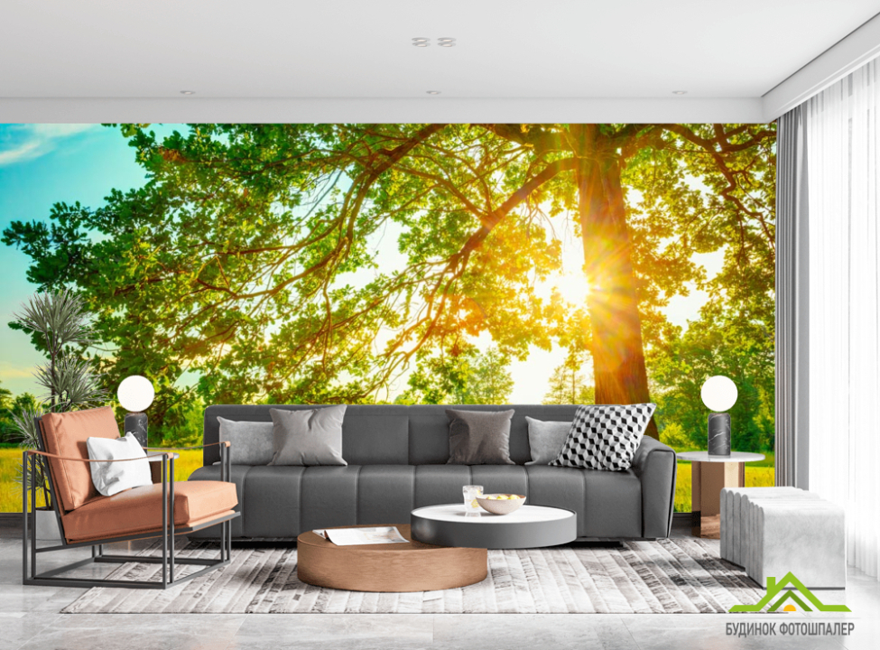 выбрать Фотообои Солнечные лучи сквозь дерево Каталог фотообоев на стену