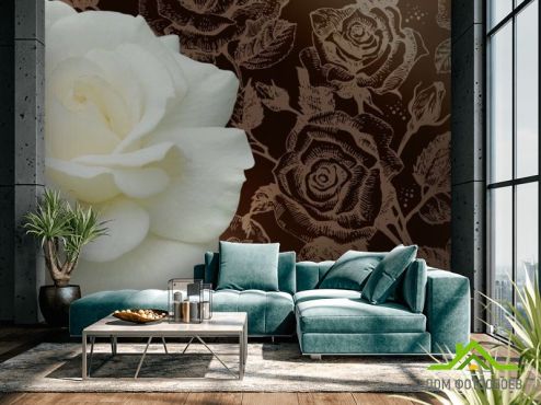 выбрать Фотообои Огромная белая роза и паттерн Фотообои, цвет: «горизонталная, горизонтальная» на стену