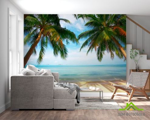 выбрать Фотообои Две пальмы, пляж Зеленые фотообои на стену