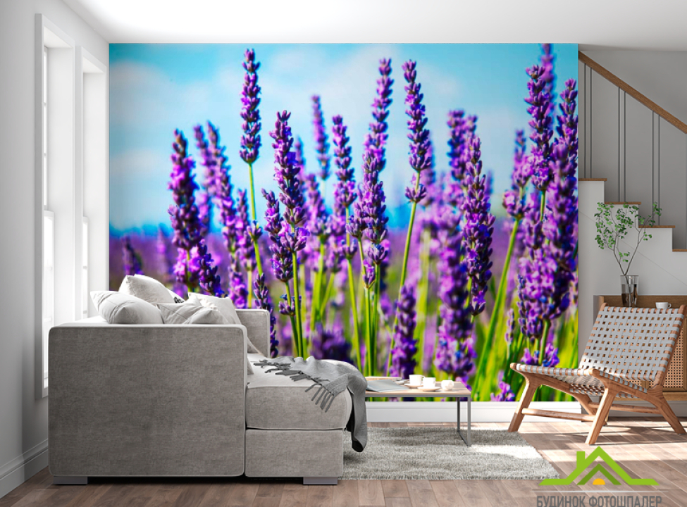 выбрать Фотообои Цветы Каталог фотообоев на стену