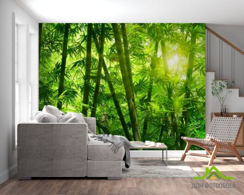 выбрать Фотообои Тропическая зелень Фотообои Фотообои Цветы: фото, зелений, зеленый  на стену