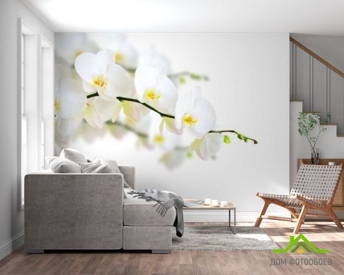 выбрать Фотообои веточка белой орхидеи Фотообои Орхидеи на стену