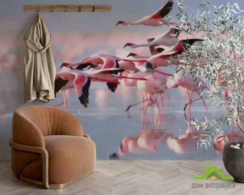 выбрать Фотообои Улетающие фламинго Фотообои Фотообои Животные: горизонталная, горизонтальная ориентация на стену