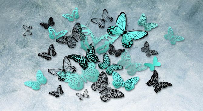 Фотошпалери метелики
