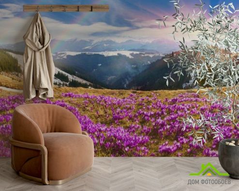 выбрать Фотошпалери поляна з бузковими квітами в горах Фотошпалери, колір: «» на стіну