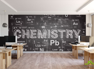 Фотообои для школы — новый выгодный тренд