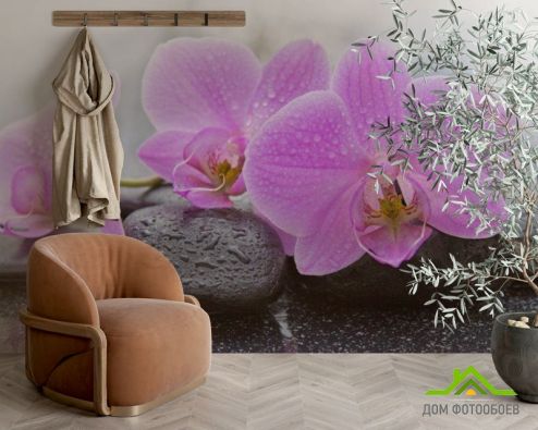 выбрать Фотообои камни и орхидеи Фотообои Фотообои Орхидеи: горизонталная, горизонтальная ориентация на стену
