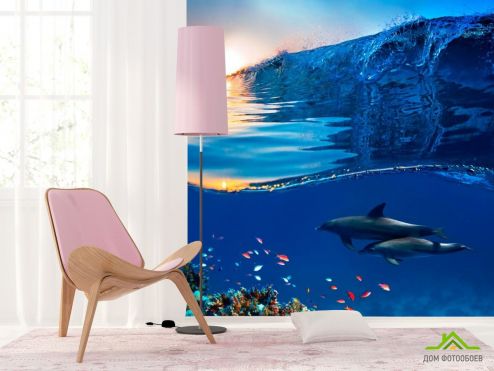 выбрать Фотошпалери Дельфіни і море Фотошпалери Фотошпалери Море: квадратна орієнтація на стіну
