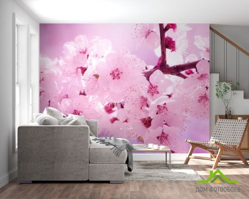 выбрать Фотообои Цветение персика весной Розовые фотообои на стену