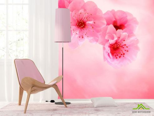 выбрать Фотообои Нежно-розовые цветы Розовые фотообои на стену
