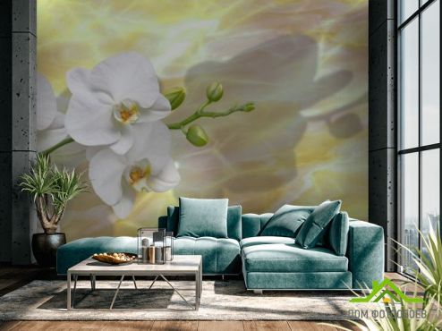 выбрать Фотообои белые орхидеи на  желтом фоне Фотообои, цвет: «горизонталная, горизонтальная» на стену
